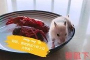 吃瓜娱乐背景板,揭秘娱乐圈幕后那些事儿