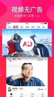 娱乐吃瓜视频模板下载