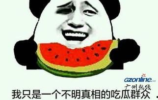 吃瓜表情的含义是什么意思,网络社交中的幽默与讽刺